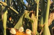 Yep it is hot outside. Take care!