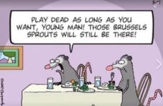 Those brussels sprouts will still be there!!!