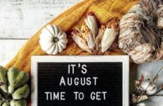 Time to get out your fall décor!