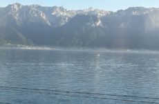 Our drive to Charlie Chaplin home.