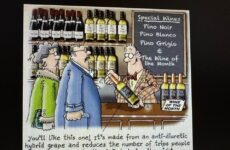 You'll like this one!