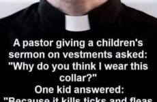 A Pastor Giving A Children's Sermon....