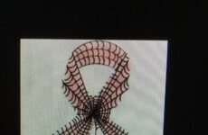 Going Pink for October!