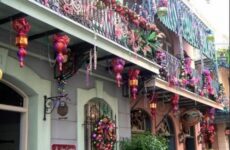 Sights of the season.