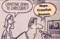 The count down has begun!