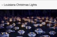 Louisiana Christmas Lights