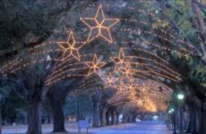 Sights of the Season!