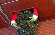 The Grinch in action.