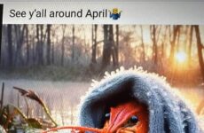 It needs to warm up!!!