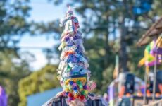 Sights of the season.