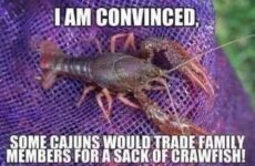 At these prices.... Yes! lol...