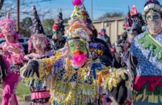 Sights of the season...