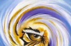 Big Women’s Basketball Game tonight in BR. LSU vs South Carolina.