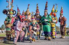 Sights of the season...