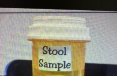 Yep the Doctor was not impressed!