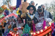 Sights of the season..