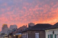 Sights of the season..