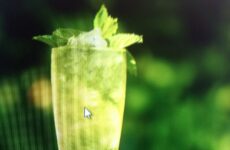 Absinthe Frappe Cocktail