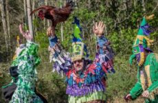 Sights of the season....