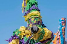 Sights of the season...