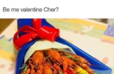 Be my valentine Cher?