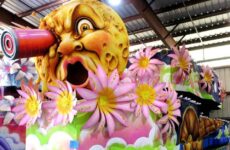 Sights of the season....