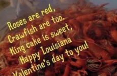 Roses are red, crawfish are too...
