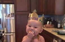 Sights of the season