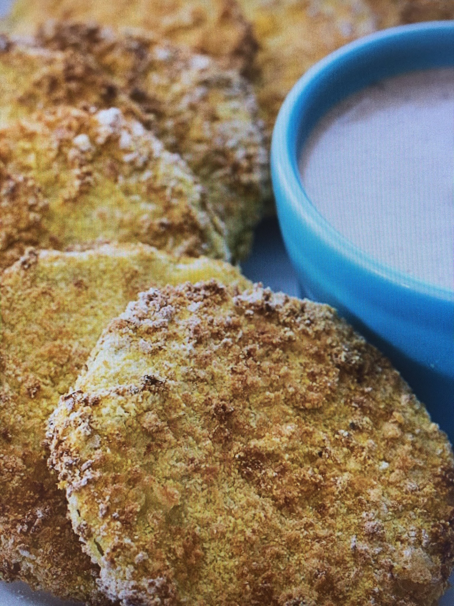 Healthy Air-Fried Green Tomatoes