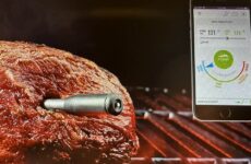 Today’s Gadget is the Wireless Meat Thermometer!