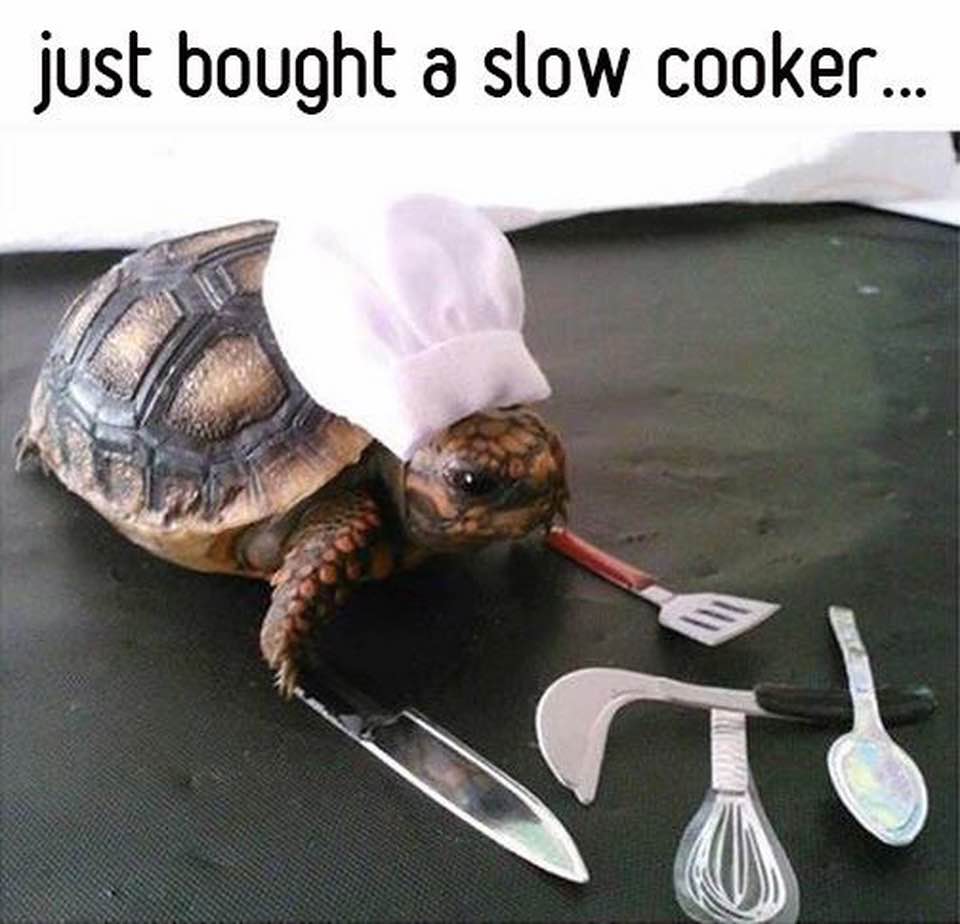 Just bought a slow cooker...
