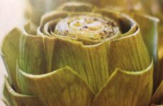 Perfectly Steamed Artichokes