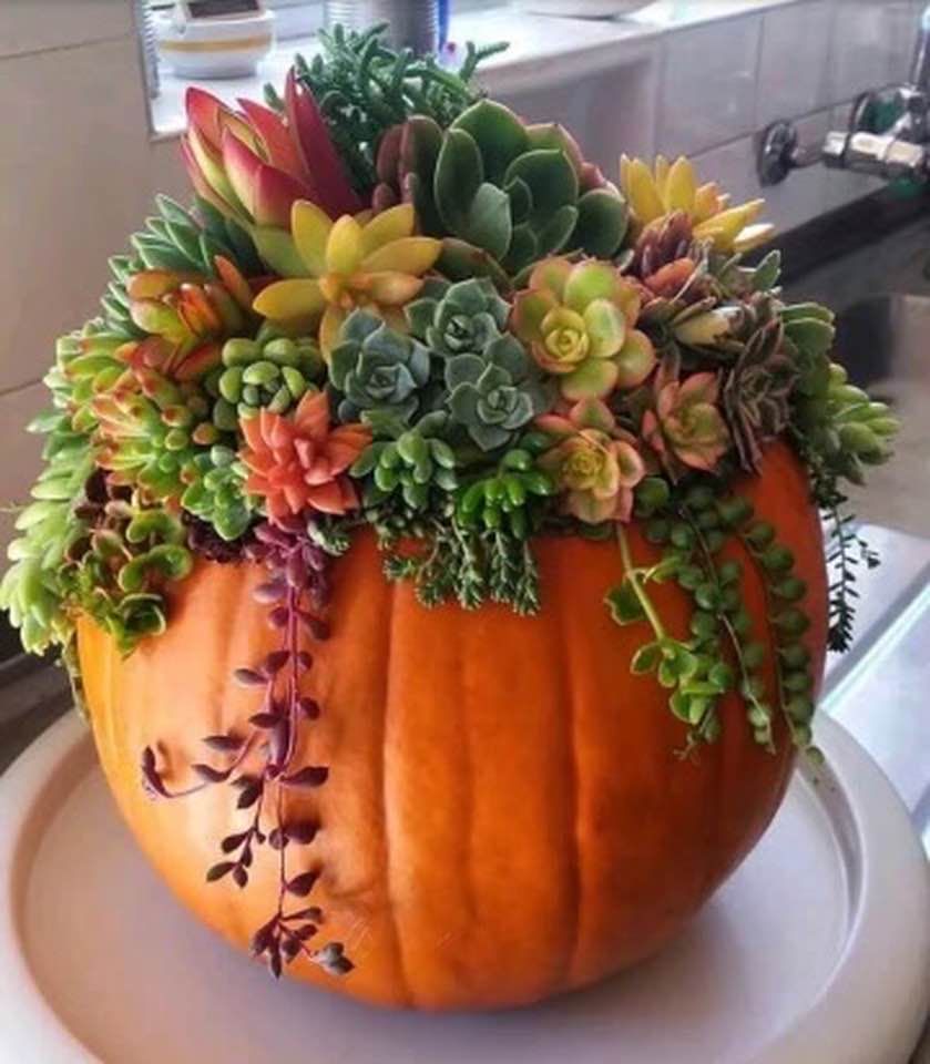 A favorite pumpkin idea!