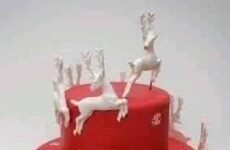 Christmas Cake