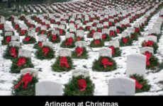 Arlington at Christmas.