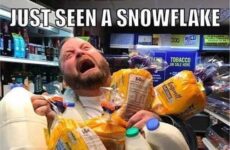 Just seen a snowflake!