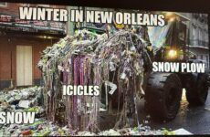 Winter in New Orleans