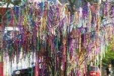 Louisiana Bead Tree!