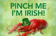 Happy St. Patrick Day! Many Blessing to you all.