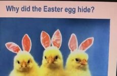 Why did the Easter Egg Hide??