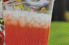 Cooling Watermelon Punch