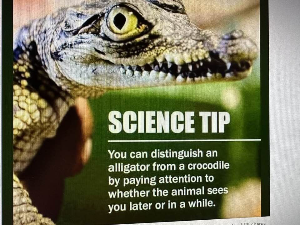 Science Tip