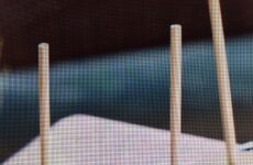 Gin-Laced Cucumber-Lime Pops