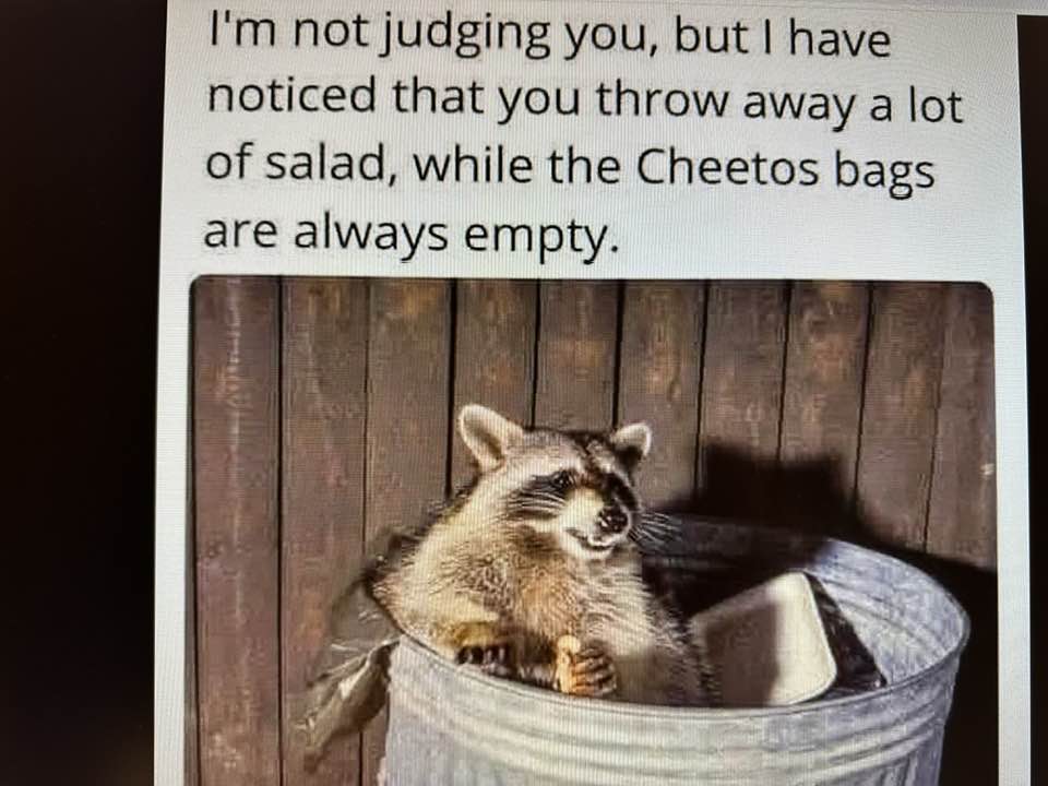 I'm not judging you....