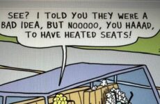 See? I told you.....