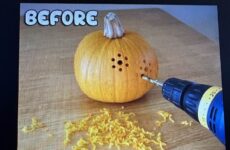 Pumpkin ideas.