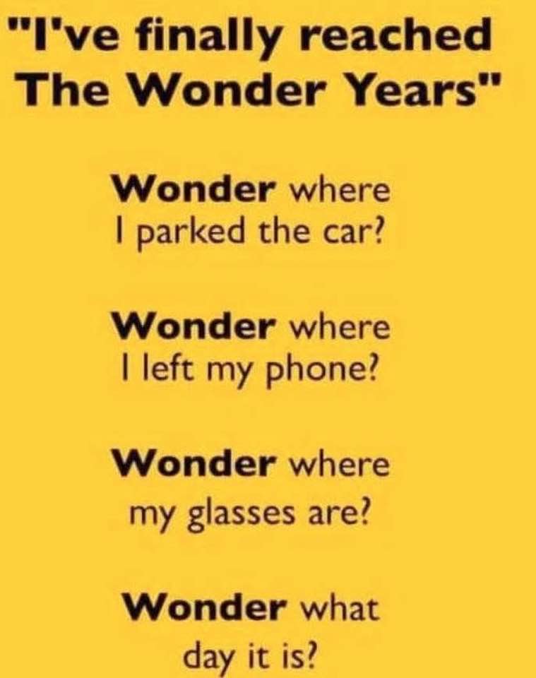 The Wonder Years!