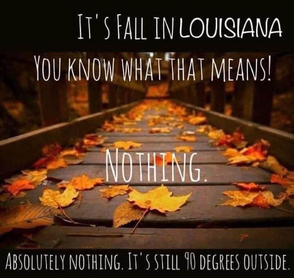 It's fall in Louisiana...