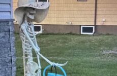 Halloween Lawn Décor