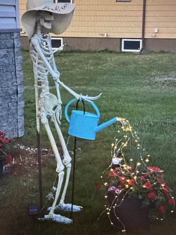 Halloween Lawn Décor